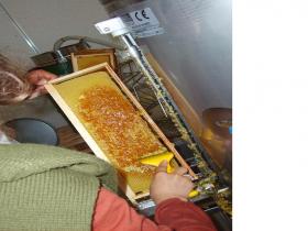 photo coins arrondis